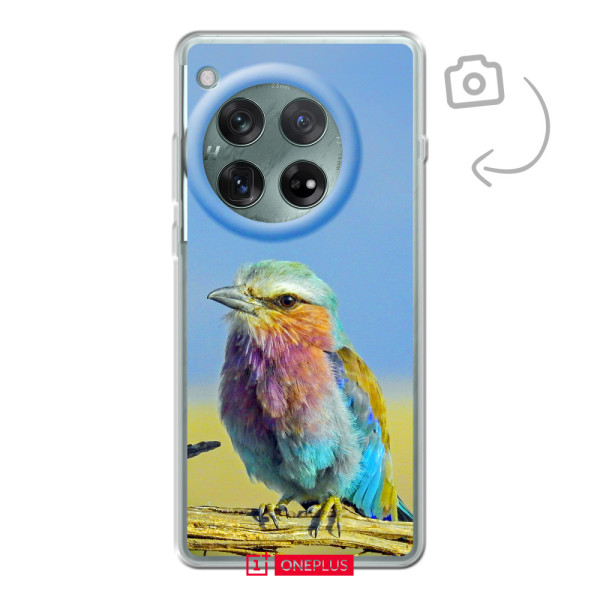 Achterkant bedrukt soft case telefoonhoesje voor OnePlus 12r/Ace 3